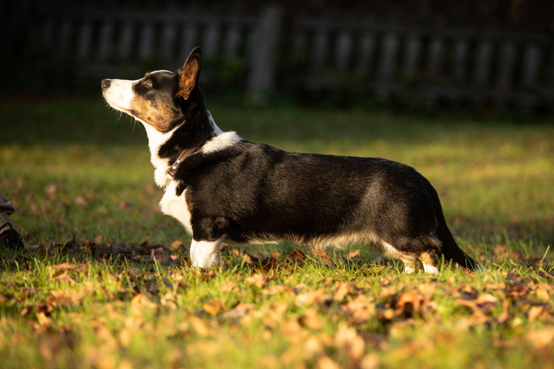 Kuvaaja: Karoliina Hämäläinen